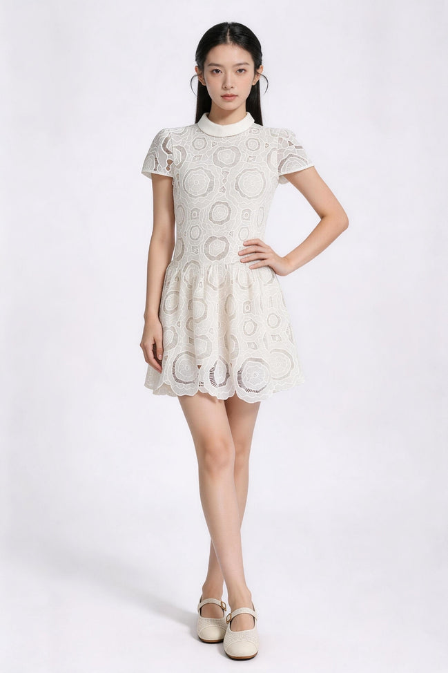 Vionnet Belted Embroidered Lace Dress