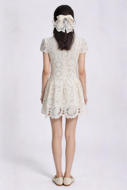 Vionnet Belted Embroidered Lace Dress